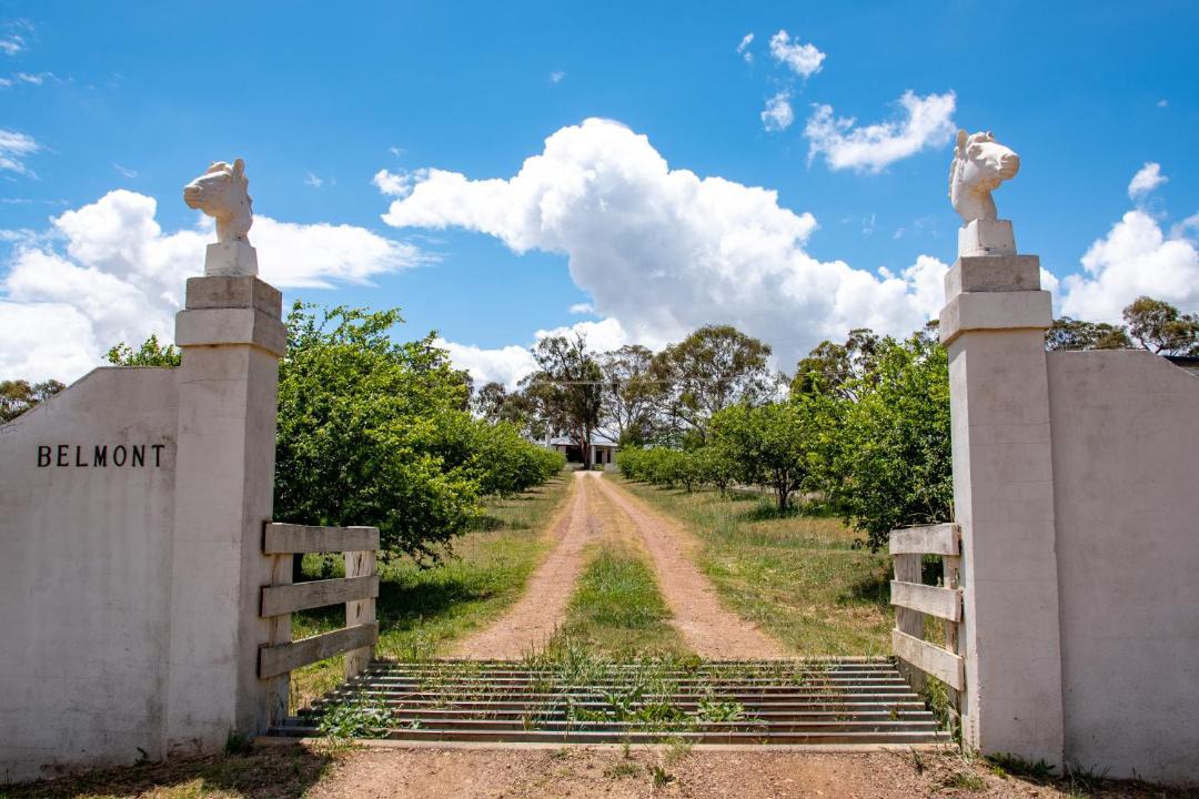 Photo of Others in Armidale