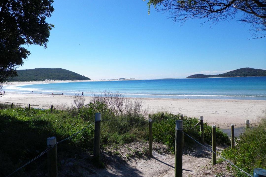 Photo of Others in Fingal Bay