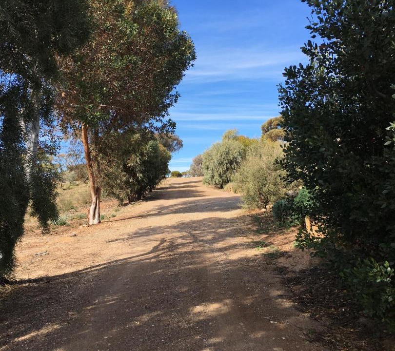 Photo of Others in Orroroo