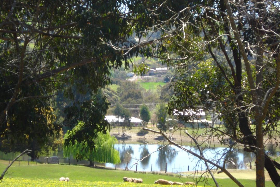 Photo of Others in Bridgetown