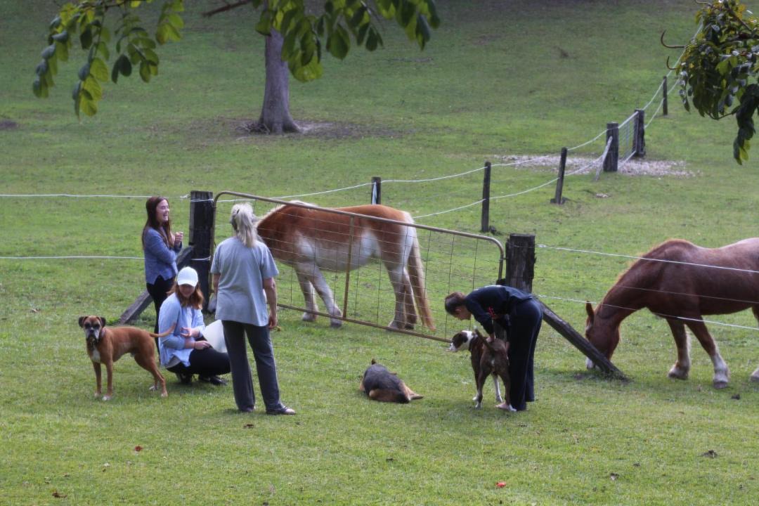 Photo of Others in Valla