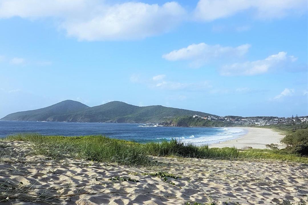 Photo of Others in Forster