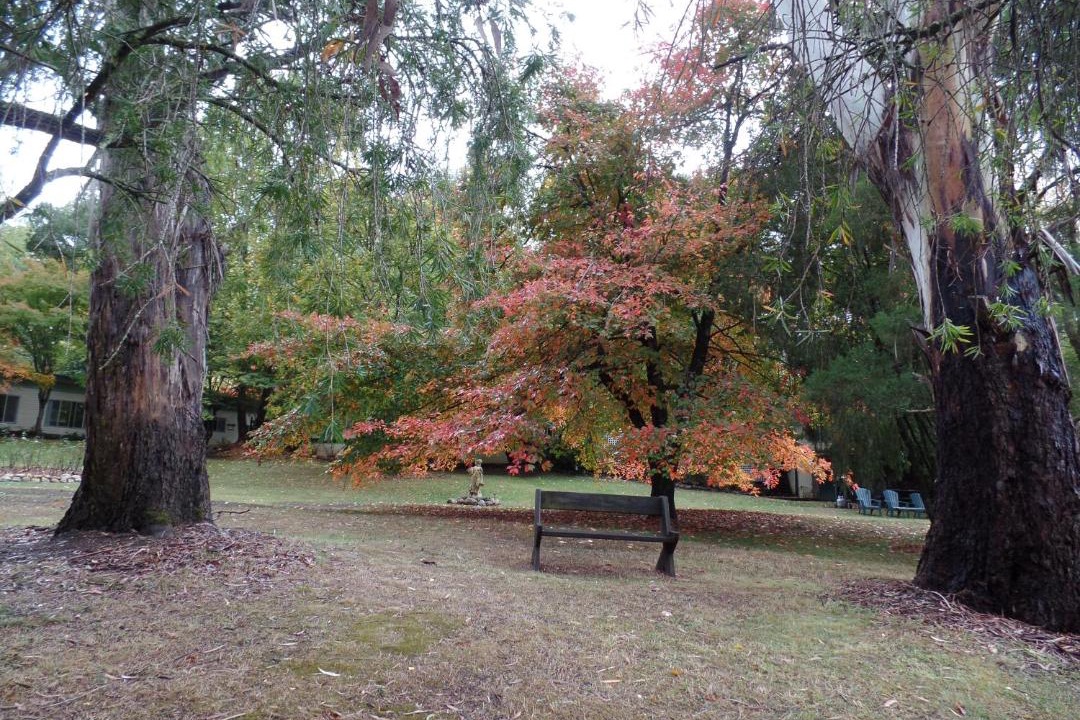 Photo of Others in Porepunkah