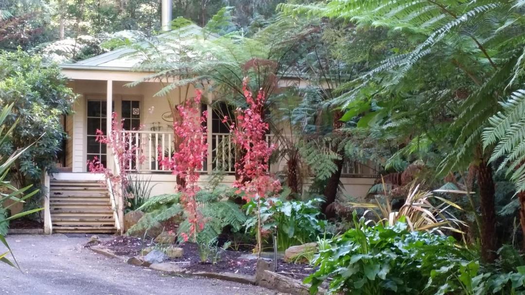 Photo of Others in Healesville