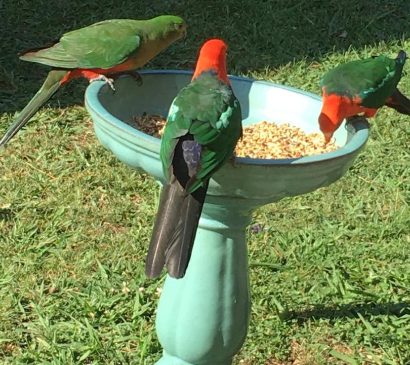 Photo of Others in Bundanoon