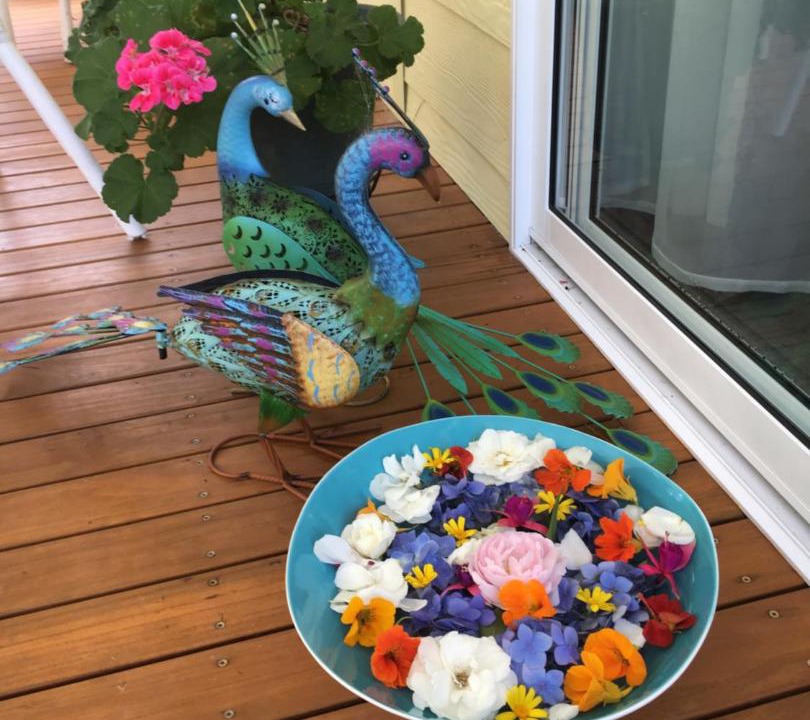 Photo of Patio Balcony in Bundanoon
