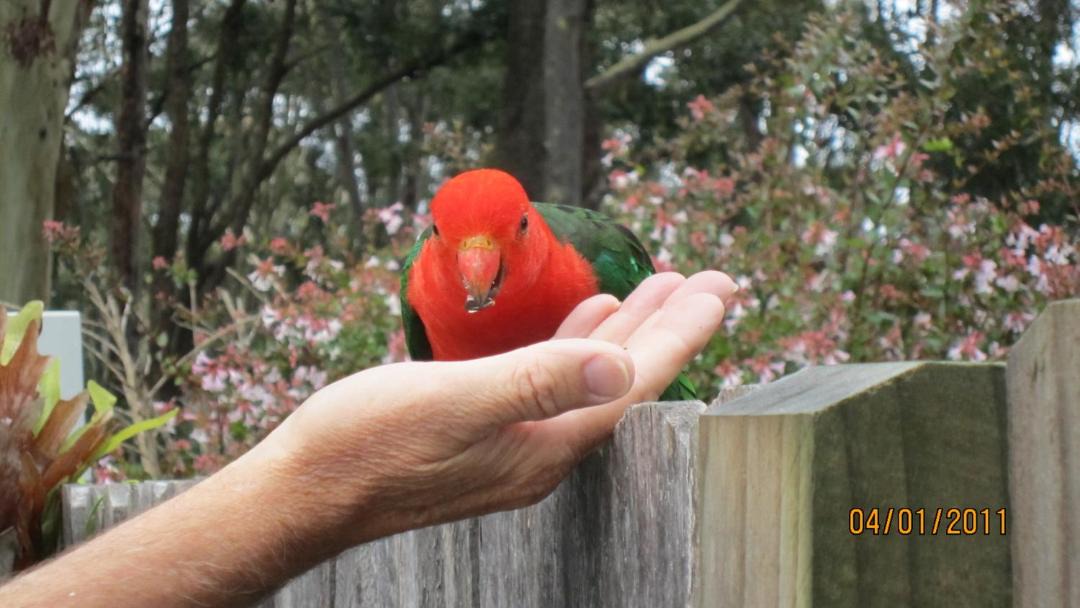 Photo of Others in Narooma
