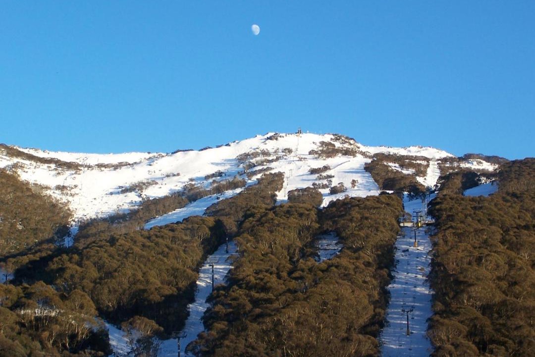 Photo of Others in Thredbo