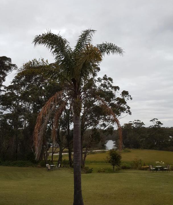 Photo of Others in Lake Tabourie
