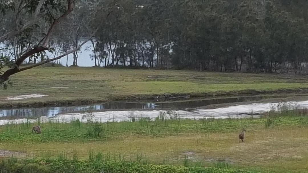Photo of Others in Lake Tabourie