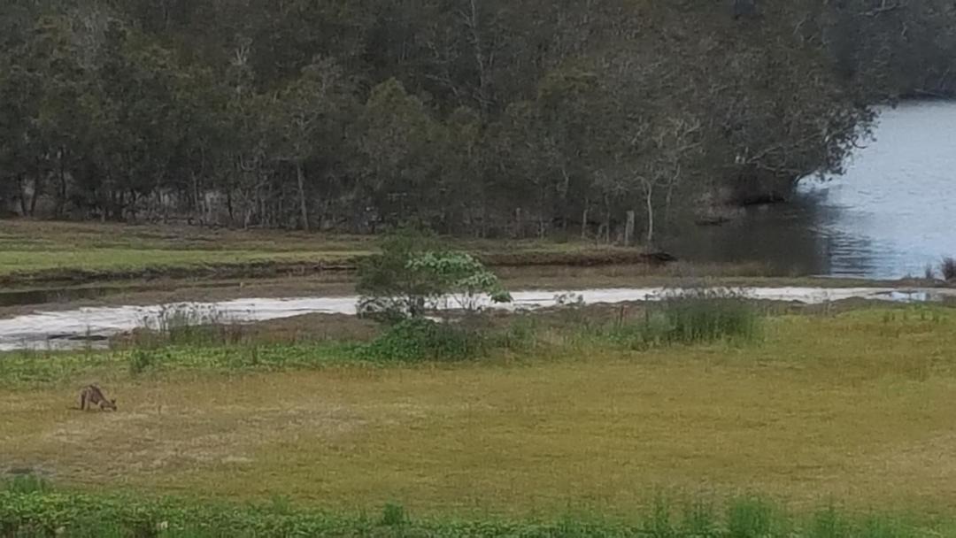 Photo of Others in Lake Tabourie