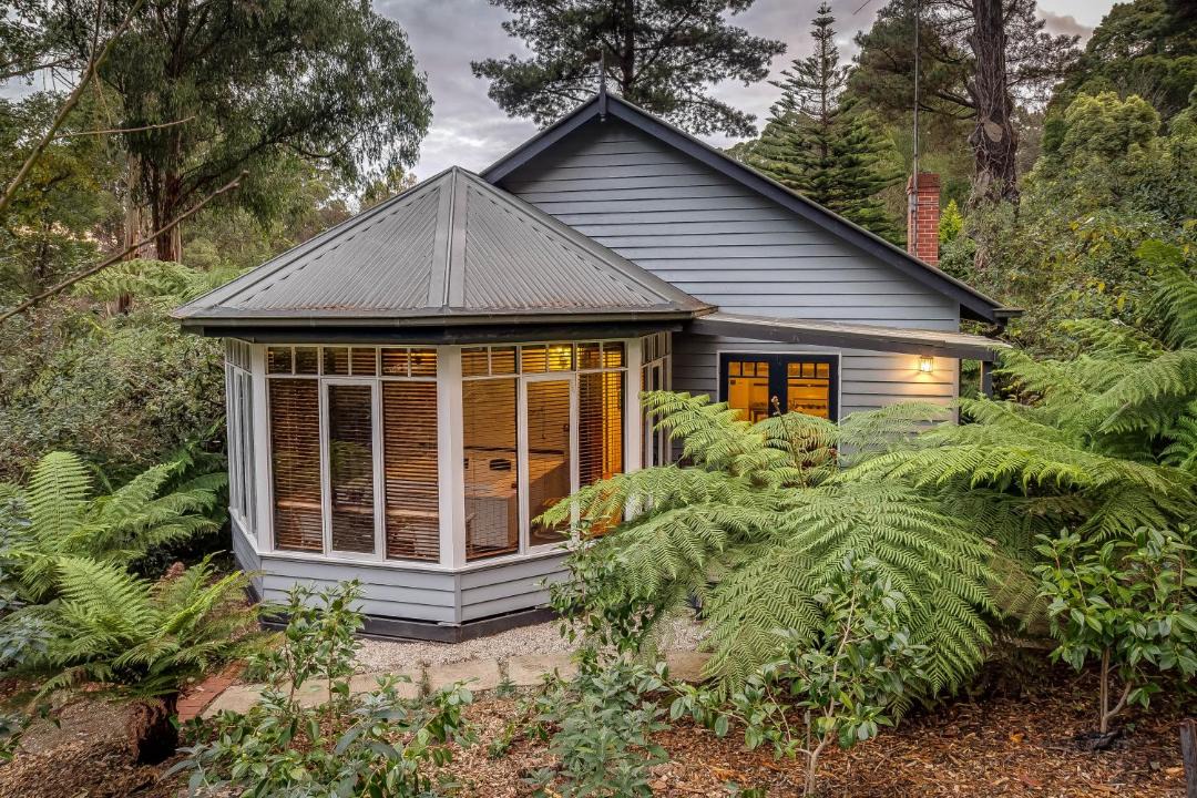 Photo of Others in Mount Dandenong