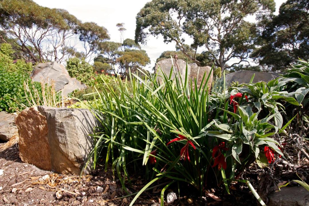 Photo of Outdoor in Cape Jervis