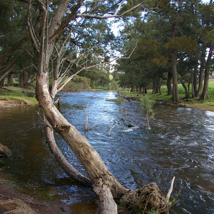 Photo of Others in Oberon