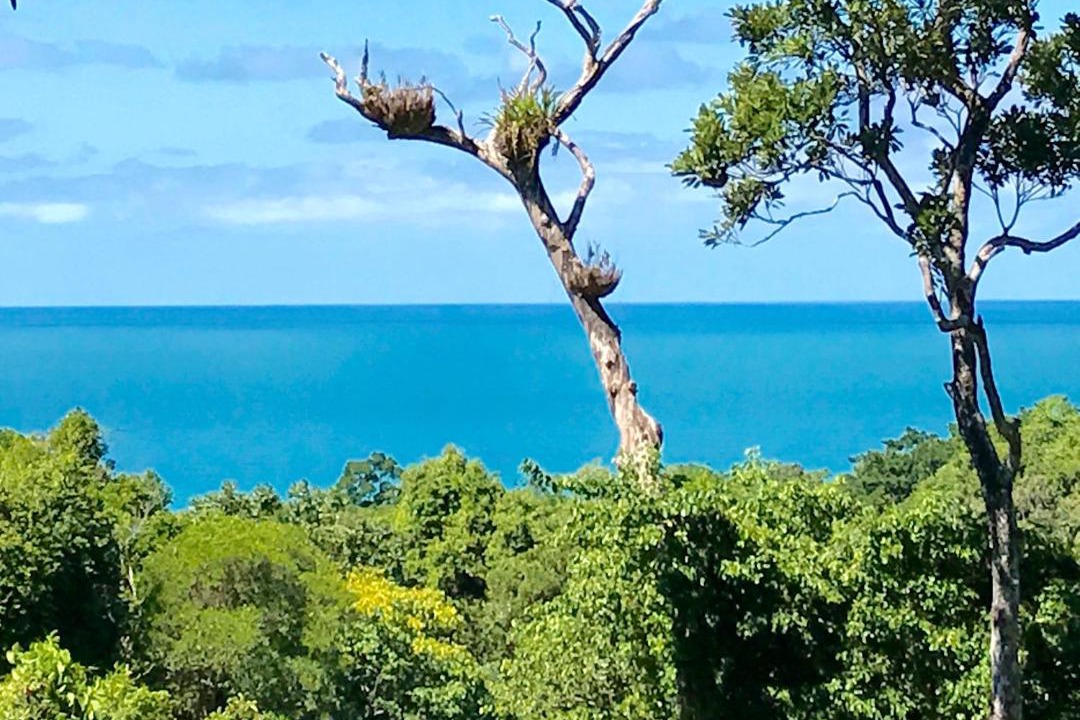 Photo of Others in Cow Bay