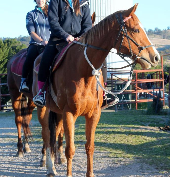 Photo of Human In Picture in Leura
