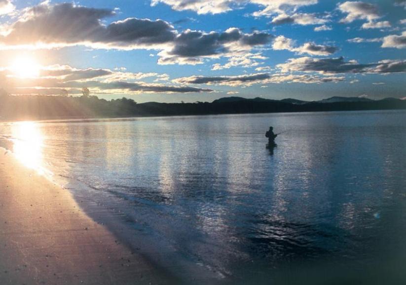Photo of Human In Picture in Batehaven