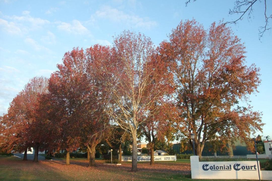 Photo of Others in Kempsey