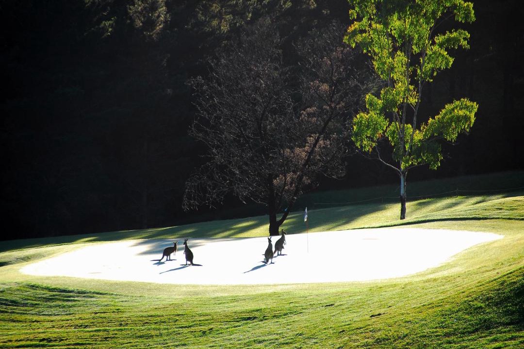 Photo of Outdoor in Kangaroo Valley