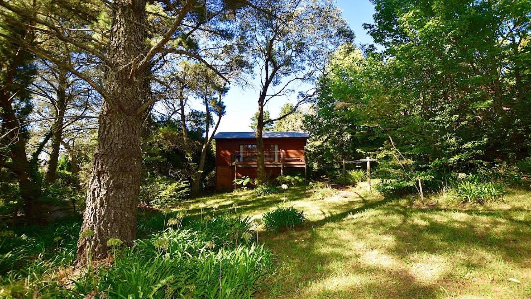 Photo of Others in Leura