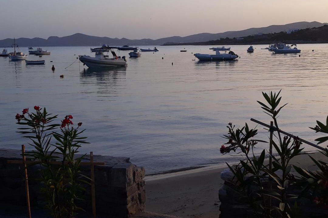 Photo of Others in Aliki
