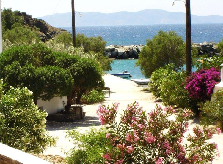 Photo of Others in Agios Romanos