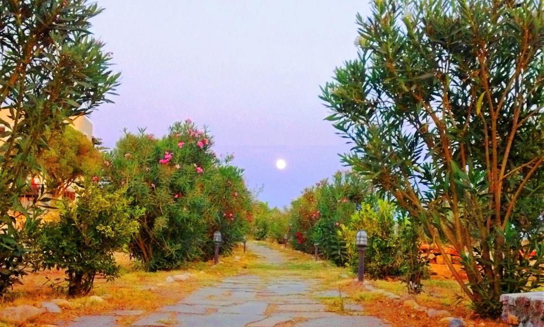 Photo of Others in Naxos