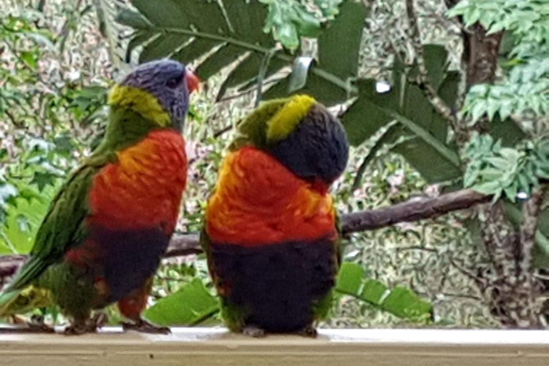 Photo of Others in Avoca Beach