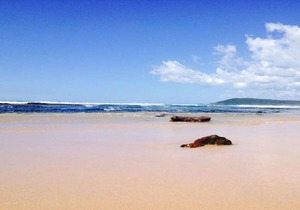 THE BEACH HOUSE SPA RETREAT
