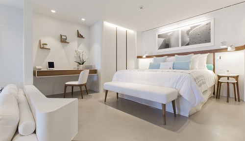 Suite (VIP with Plunge Pool)