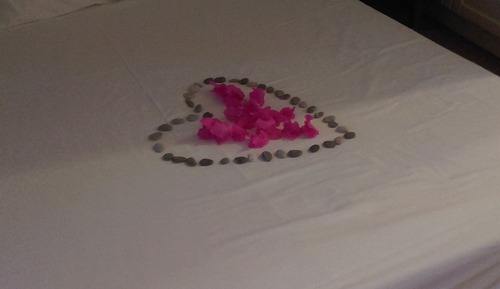 Standard Room, 2 Twin Beds