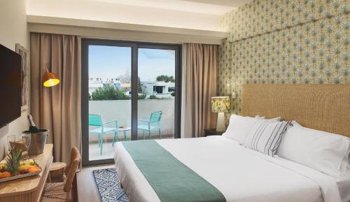 Deluxe Double or Twin Room with Garden View