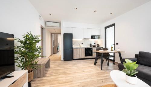Deluxe One-Bedroom Apartment