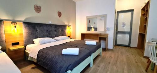 Studio with Sofa Bed