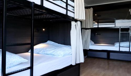 Bed in 6-Bed Mixed Dormitory Room with Shared Bathroom