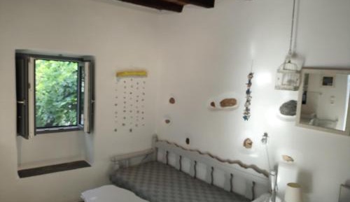Studio with Garden View