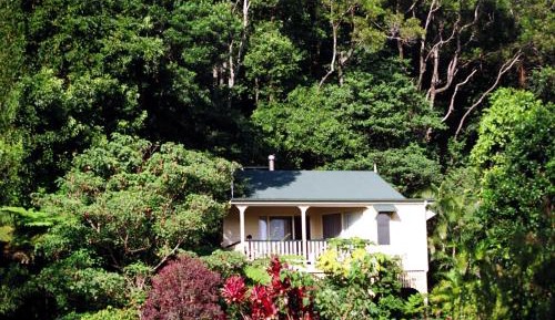 One-Bedroom Cottage - Rainforest Cottage (2 Adults)