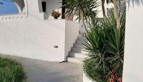 Studio with Terrace