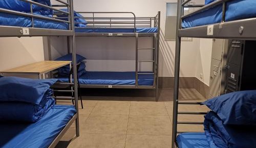 Bed in 6-Bed Dormitory Room