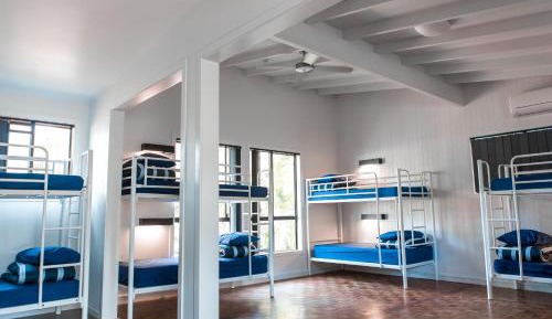 Bed in 10-Bed Mixed Dormitory Room