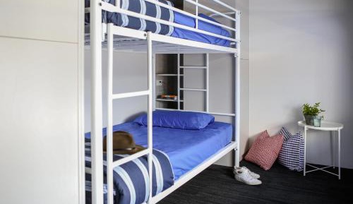 Bed in 6-Bed Mixed Dormitory Room