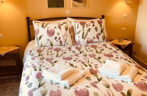 Mikro Chorio Hotel | Helidona