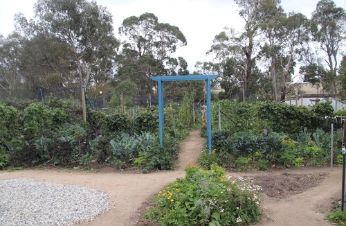Metcalfe House | Unwind in a cosy bungalow in the midst of our organic permaculture mini-farm.
