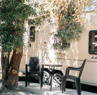 Melinta Other | Elaion Estate - Athena
