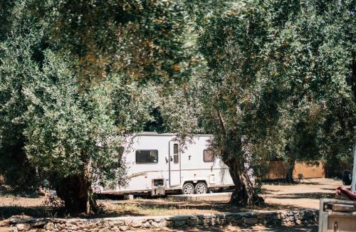 Melinta Other | Elaion Estate - Athena