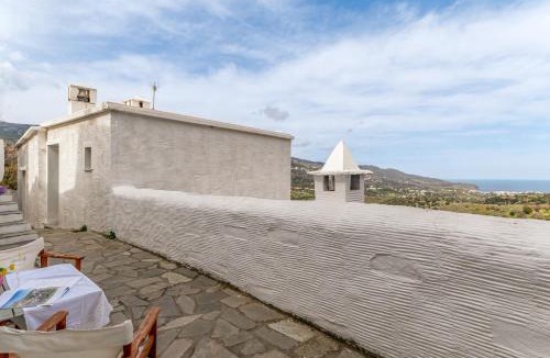 Andros Town Apartment | Olive Guesthouse near farm