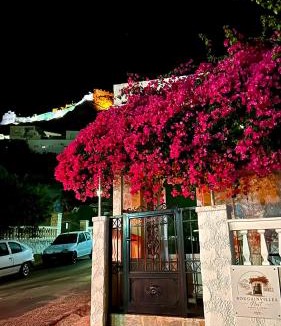 Panteli Apartment | Bougainvillea Nest Panteli, Leros