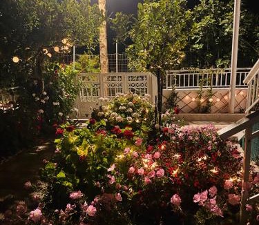 Kalavarda House | Lemon tree's house