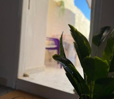 Kalamoti Apartment | Elia