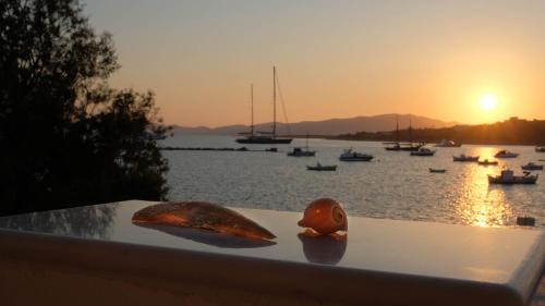 Aliki House | Exohiko